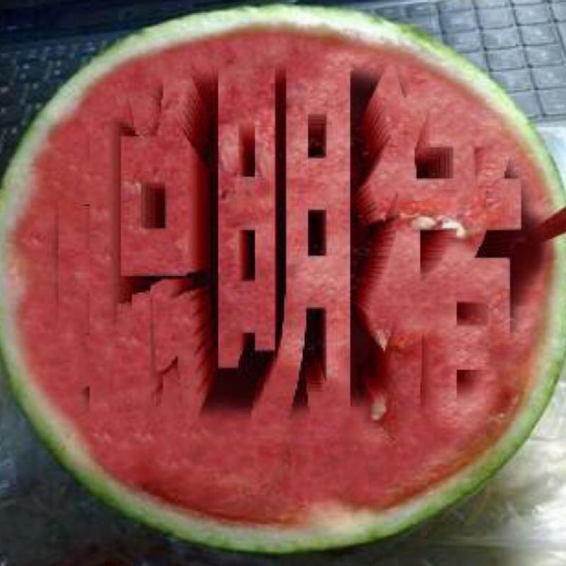 懒狗聪明猪的头像