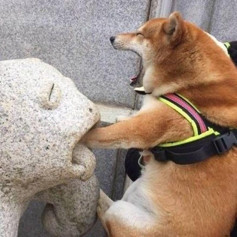 咖啡喝前摇一摇的头像