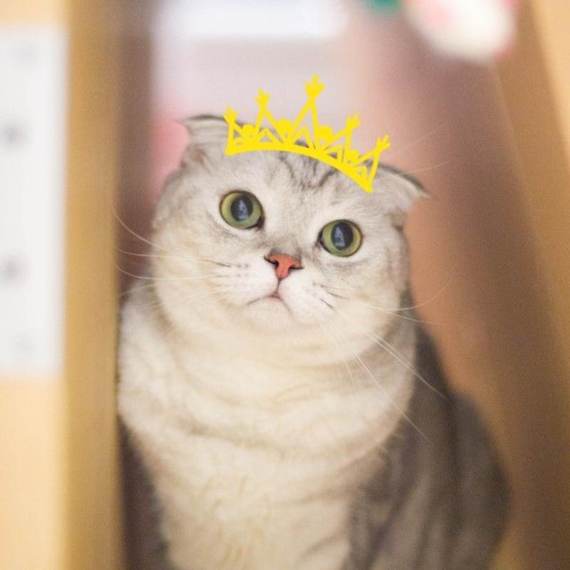 Usagi_的头像