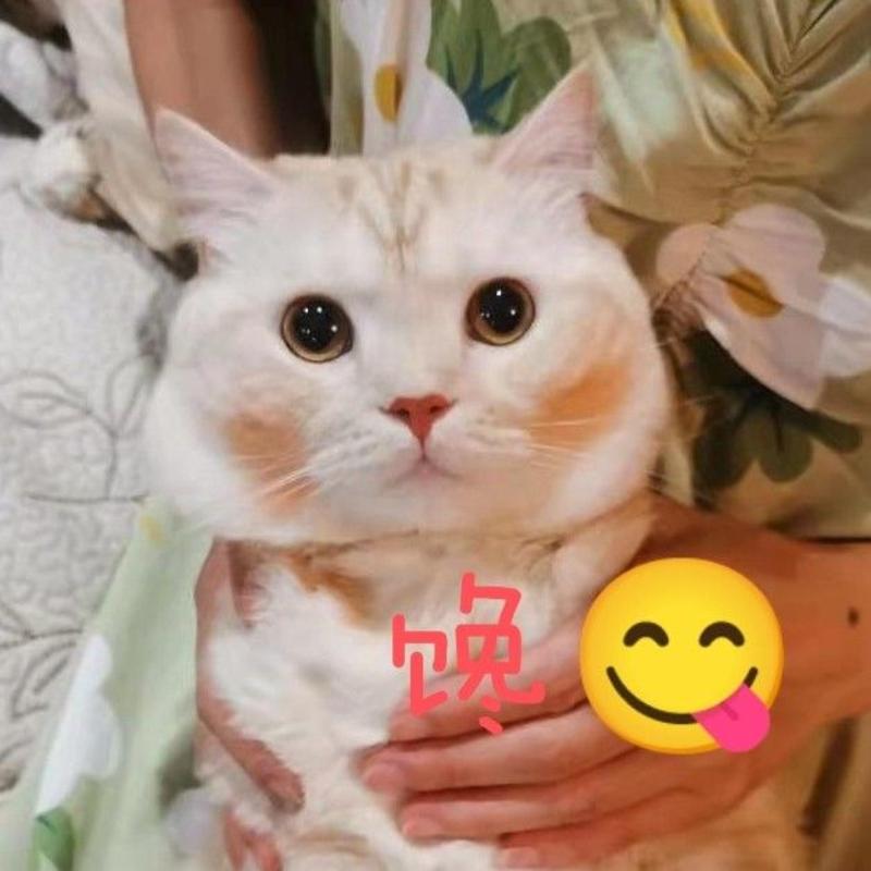 是人间烟火的头像