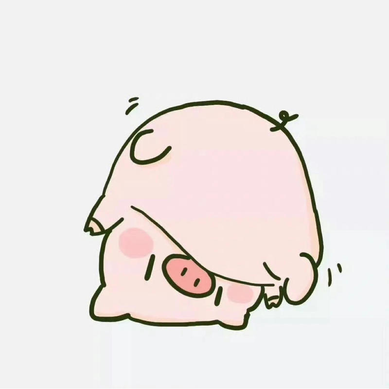 呆猪zhu的头像