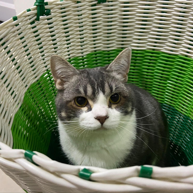 AIPacino的头像