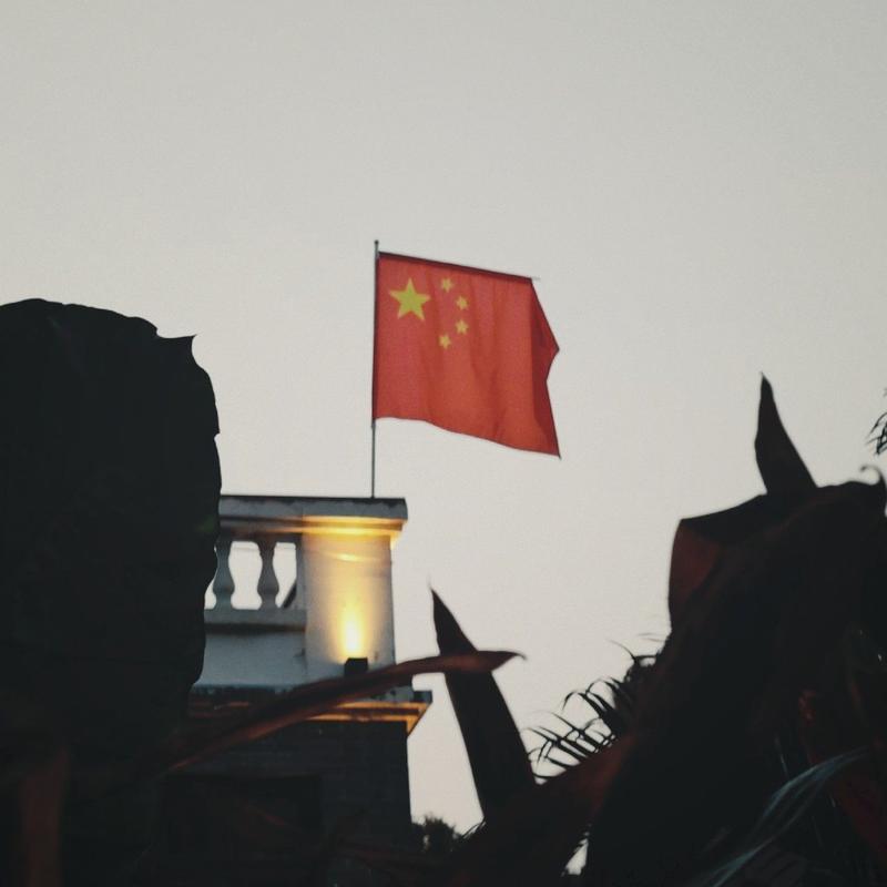 大可以放心说的头像