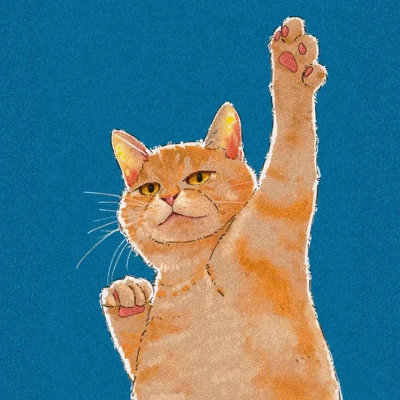 -猫叔-的头像