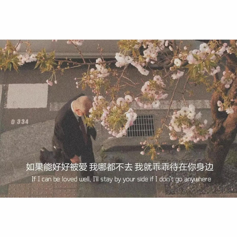 渔村土匪的头像