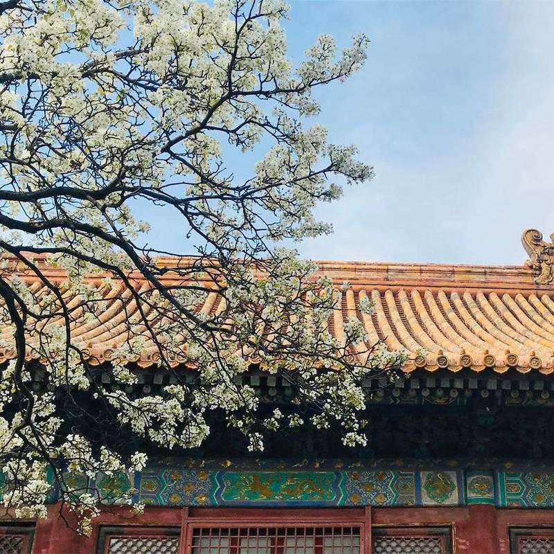 泓深的头像