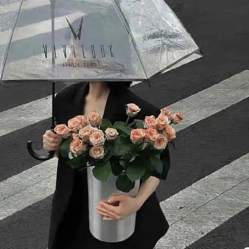 纯白交响曲的头像