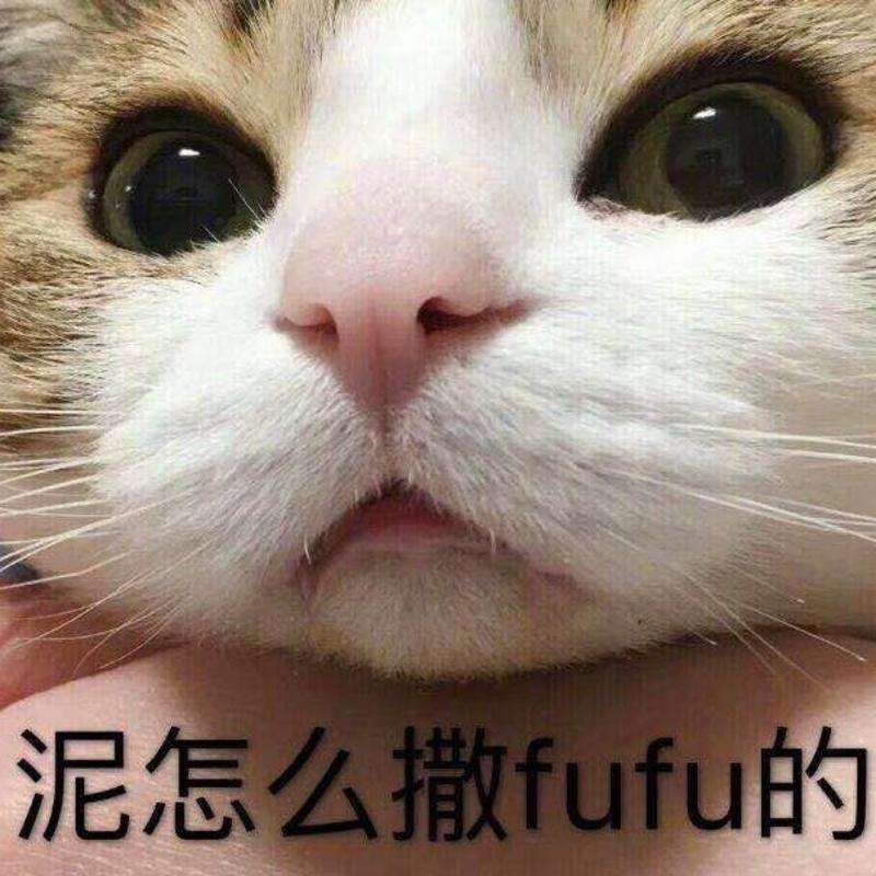 Daryle的头像
