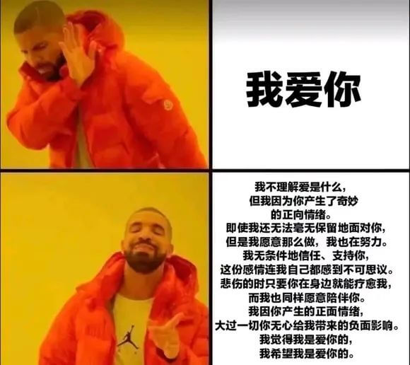 我爱你我不理解爱是什么，但我因为你产生了奇妙的正向情绪。即使