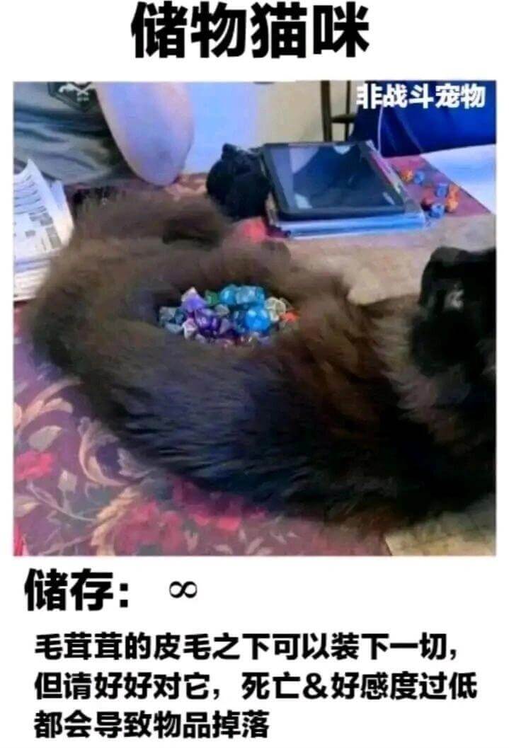 诸物猫咪非战斗宠物储存:80毛茸茸的皮毛之下可以装下一切,但
