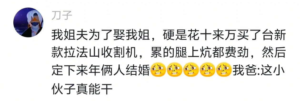 刀子我姐夫为了娶我姐,硬是花十来万买了台新款拉法山收割机,累