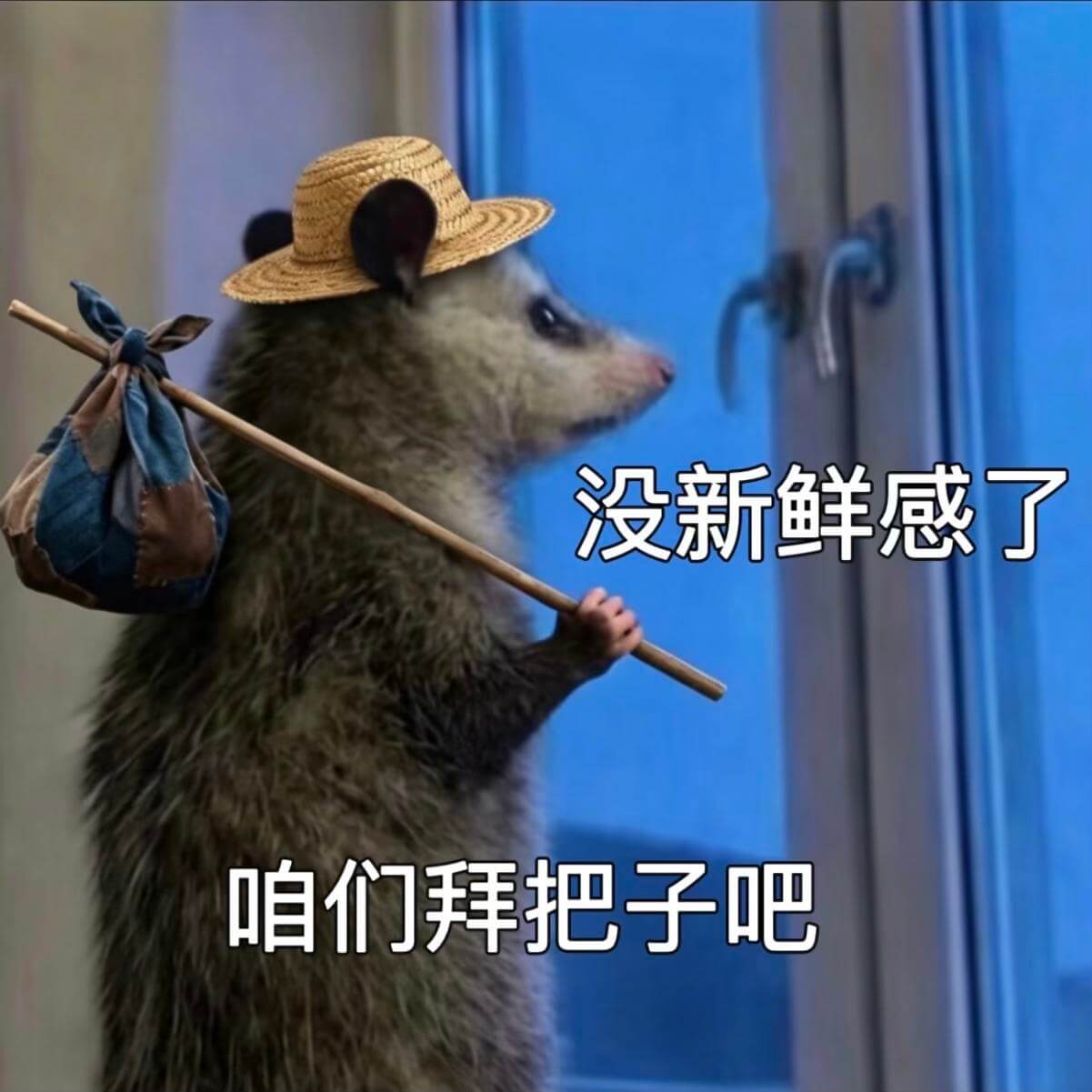 没新鲜感了，咱们拜把子吧