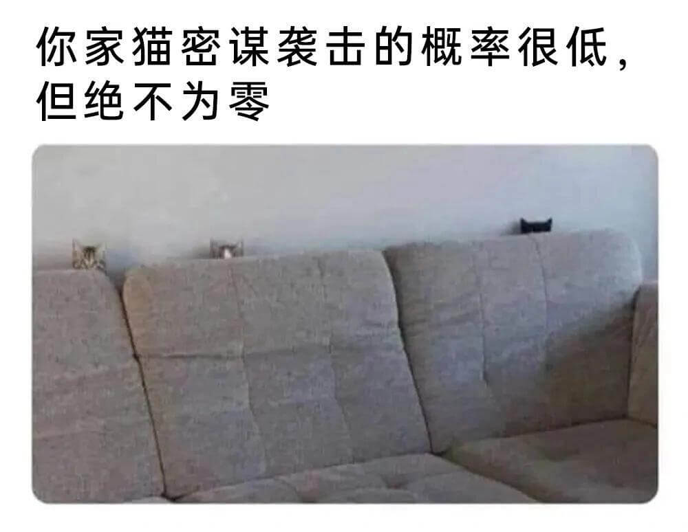你家猫密谋袭击的概率很低，但绝不为零。