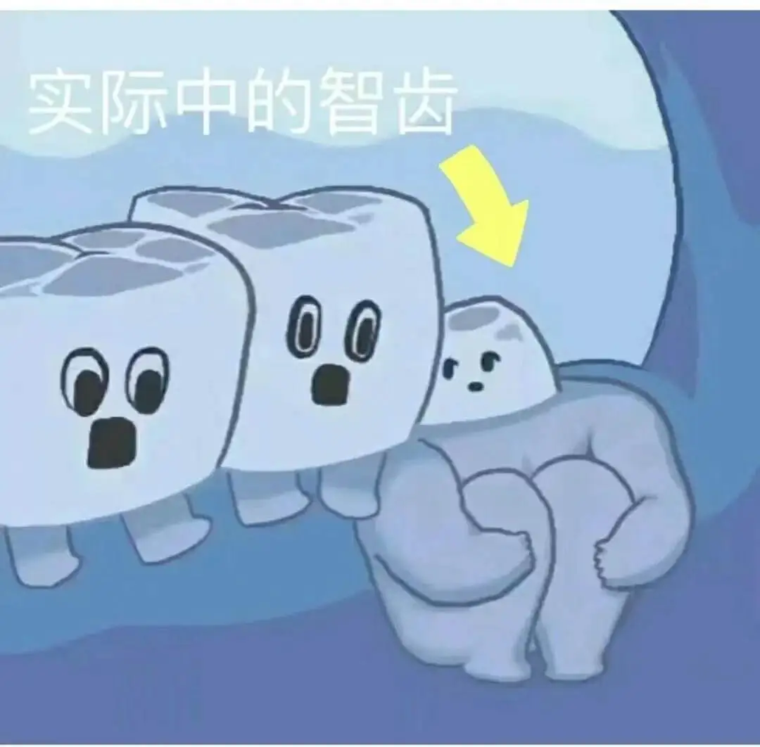 实际中的智齿