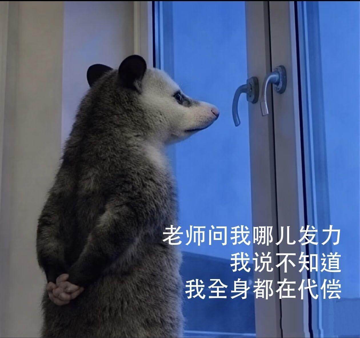 老师问我哪儿发力，我说不知道，我全身都在代偿。