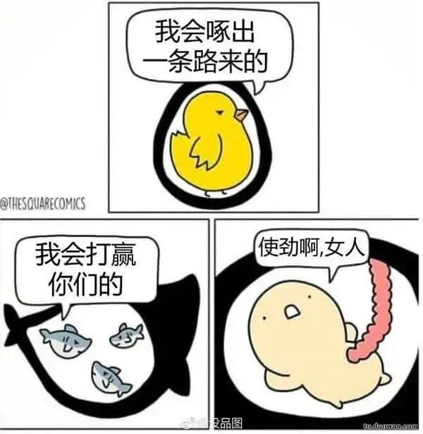 我会啄出一条路来的@THESQUARECOMICS我会打赢！