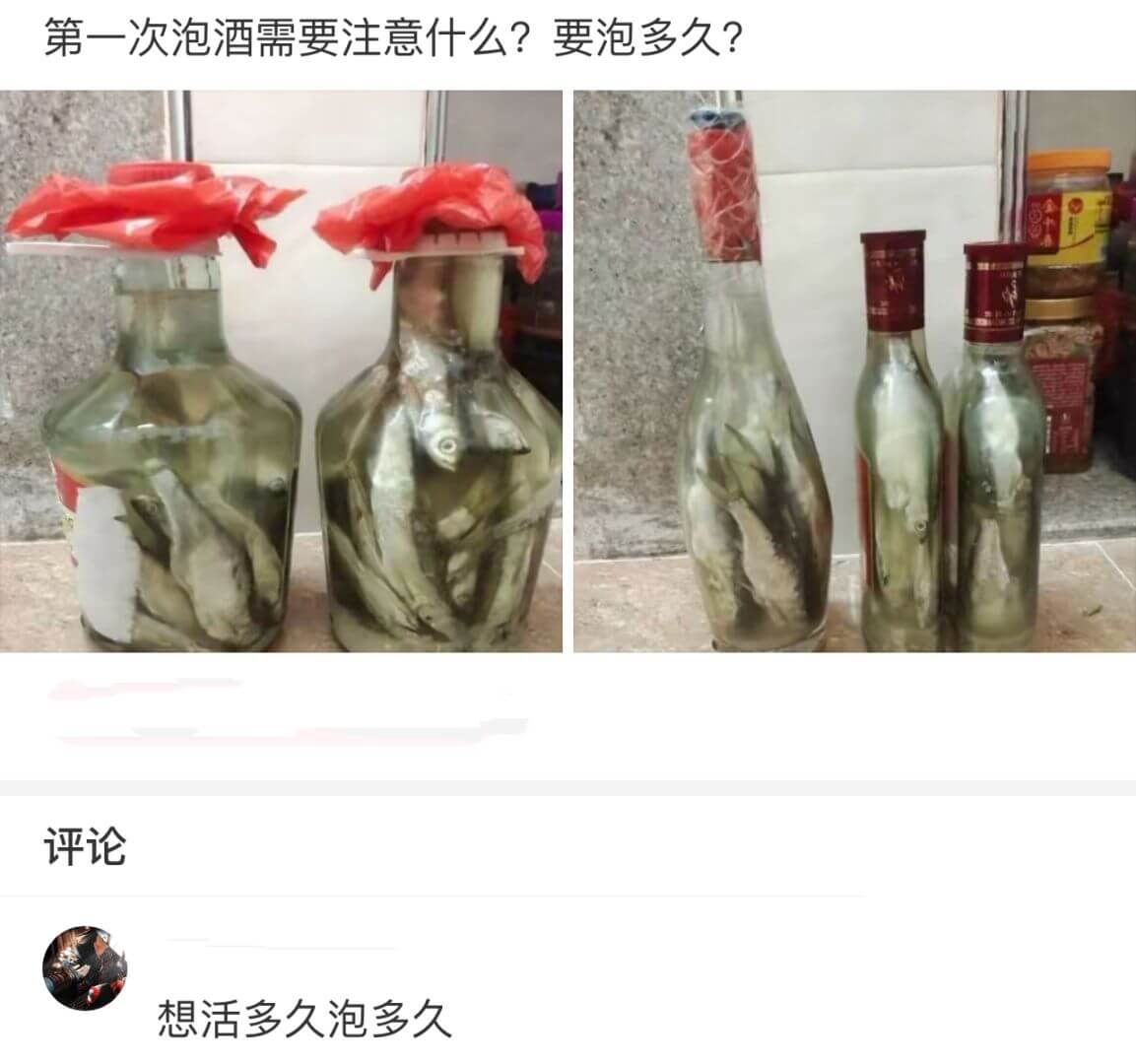 第一次泡酒需要注意什么？要泡多久？评论想活多久泡多久