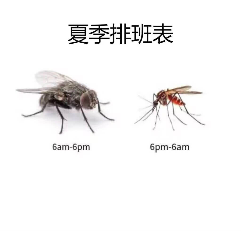 夏季排班表6am-6pm6pm-6am
