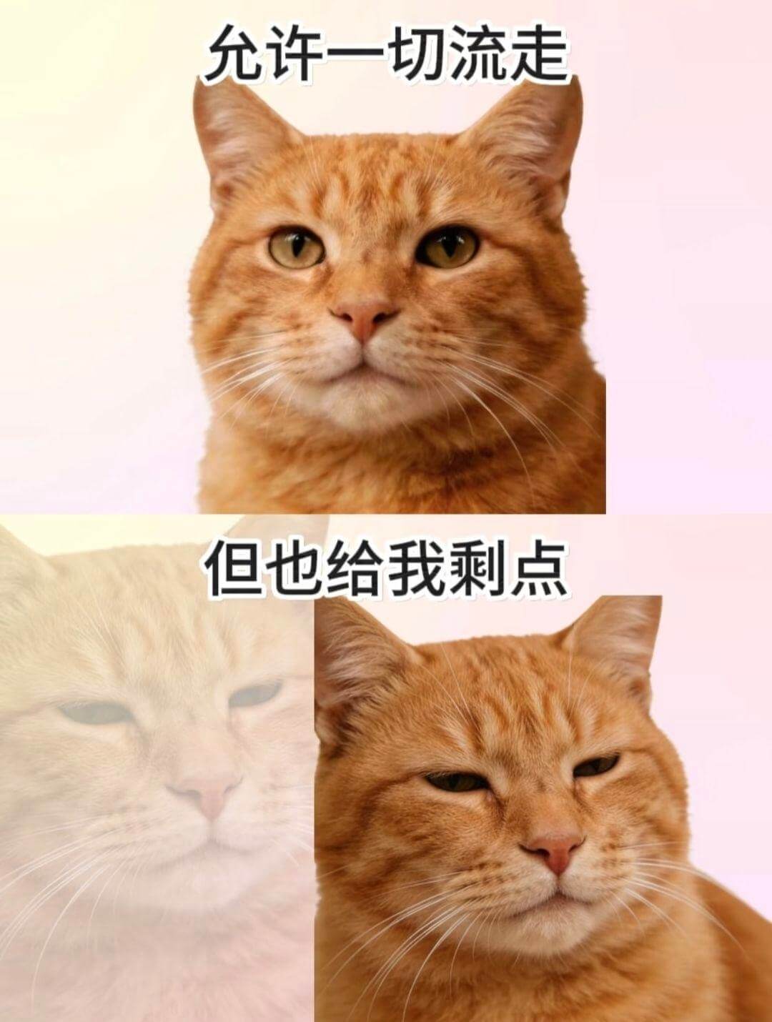 允许一切流走，但也给我剩点