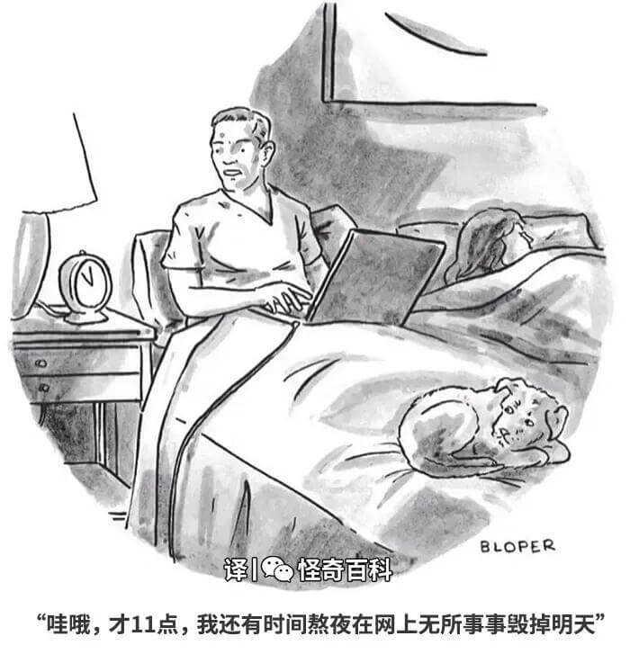 BLOPER译：怪奇百科“哇哦，才11点，我还有时间熬夜在网