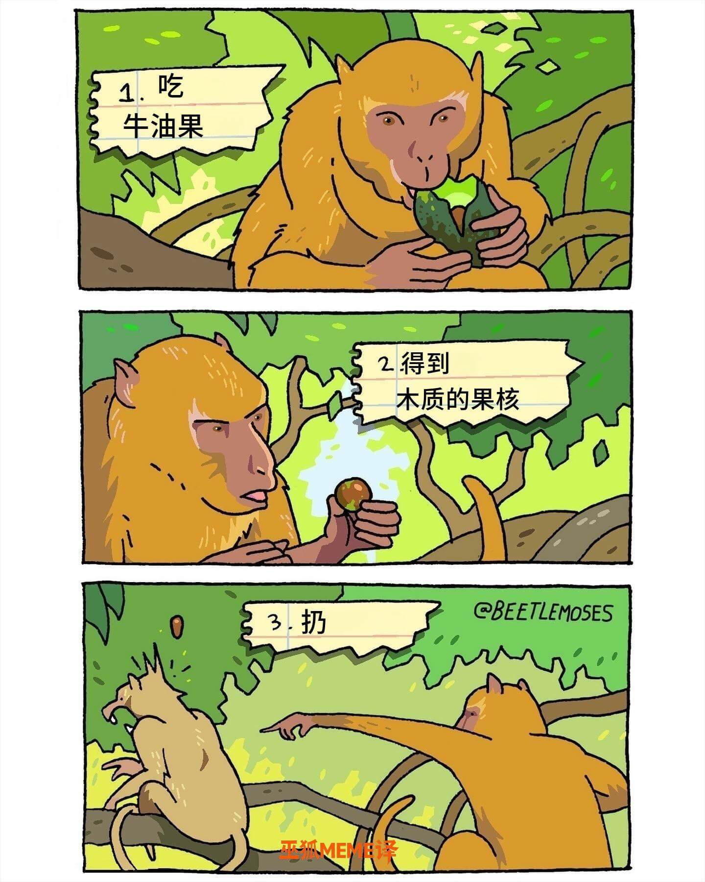 1.吃牛油果得到2木质的果核CBEETLEMOSES3扔玉狐