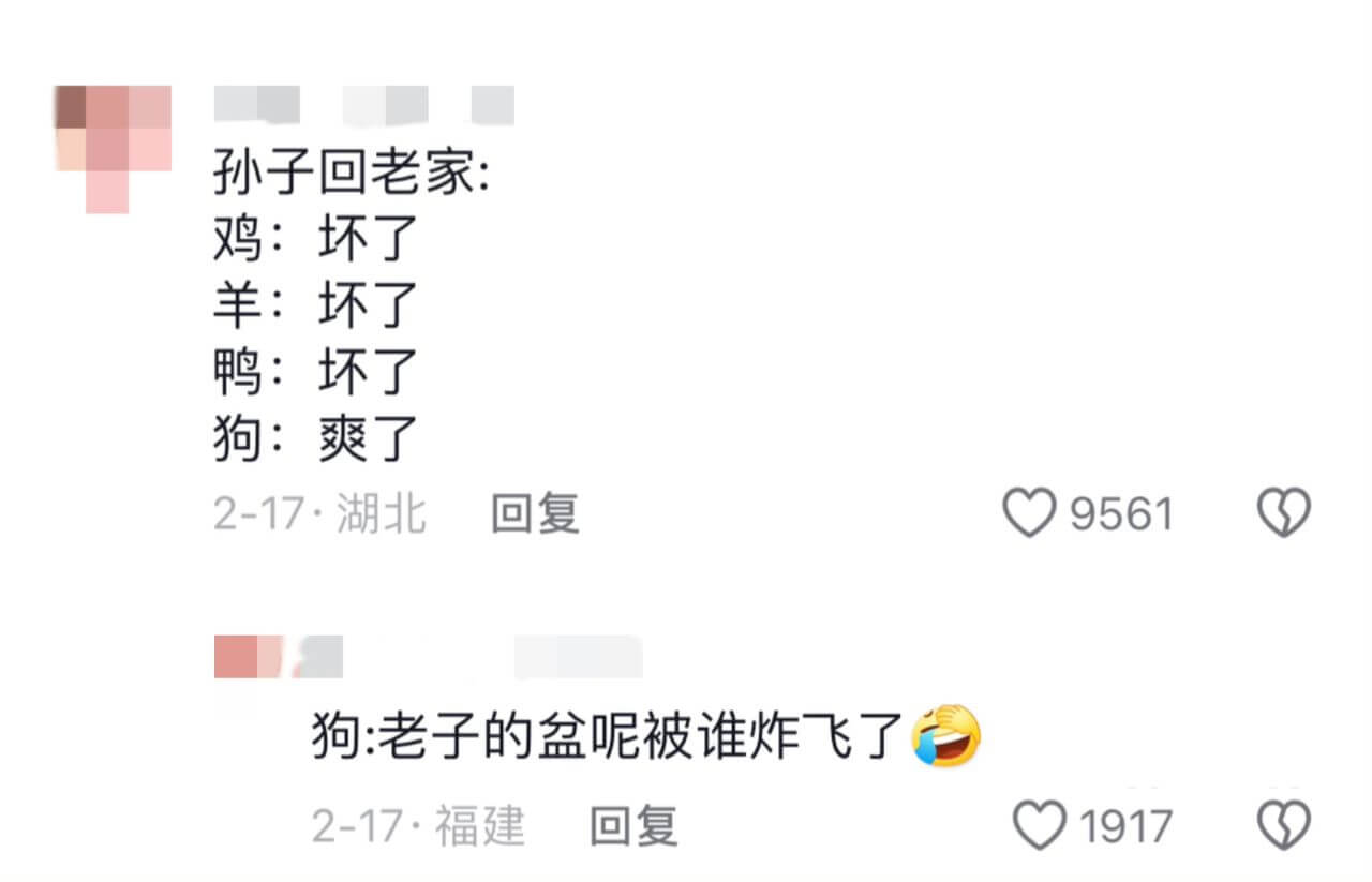 孙子回老家:鸡:坏了羊:坏了鸭:坏了狗:爽了2-17·湖北回