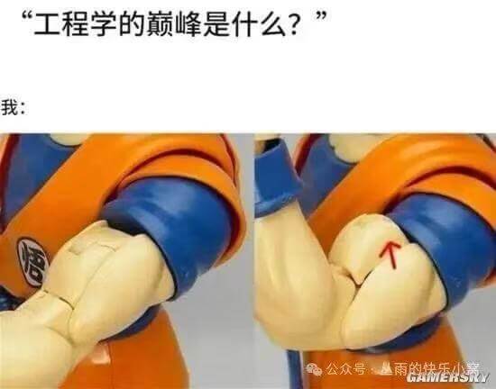 工程学的巅峰是什么？我：公众号巫雨的快乐小离GAWERSN
