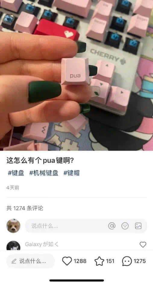 pua这怎么有个pua键啊?键盘机械键盘键帽4天前共1274