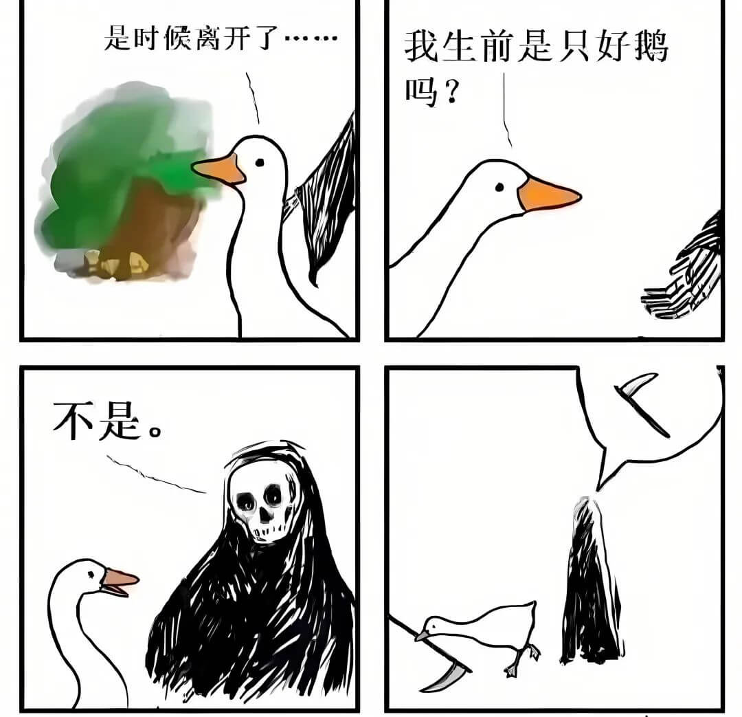 是时候离开了。我生前是只好鹅吗？不是。