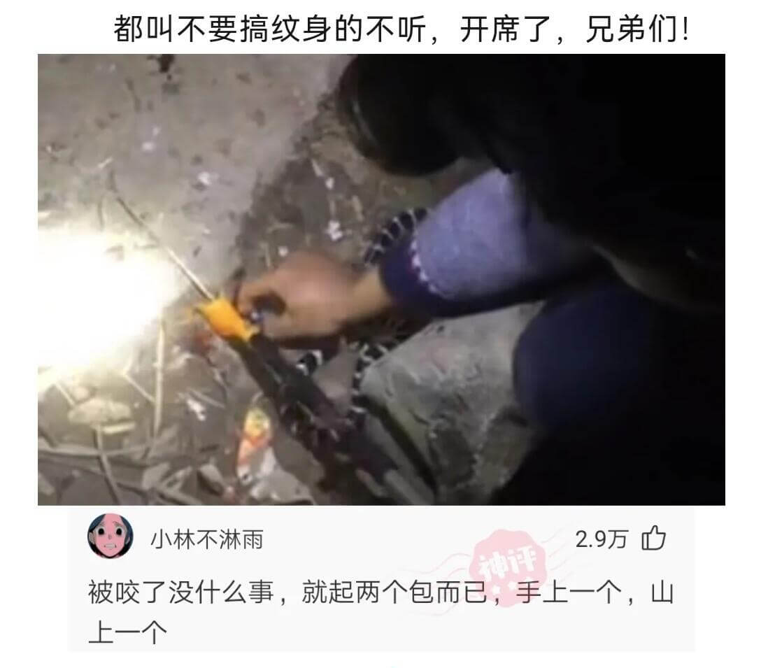 都叫不要搞纹身的不听，开席了，兄弟们!小林不淋雨2.9万被咬