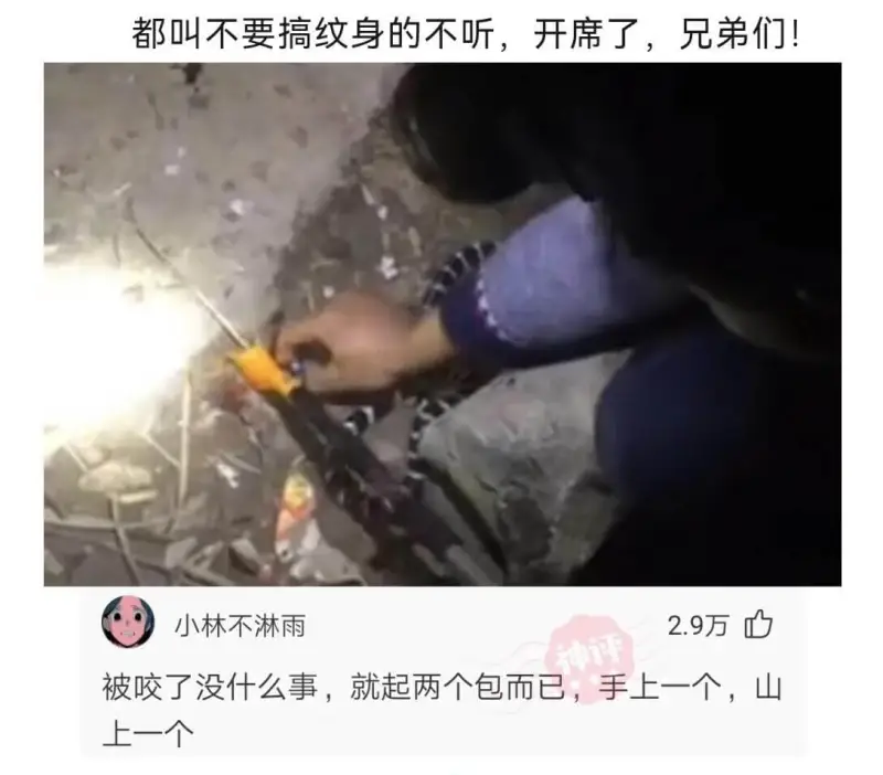 都叫不要搞纹身的不听，开席了，兄弟们!小林不淋雨2.9万被咬