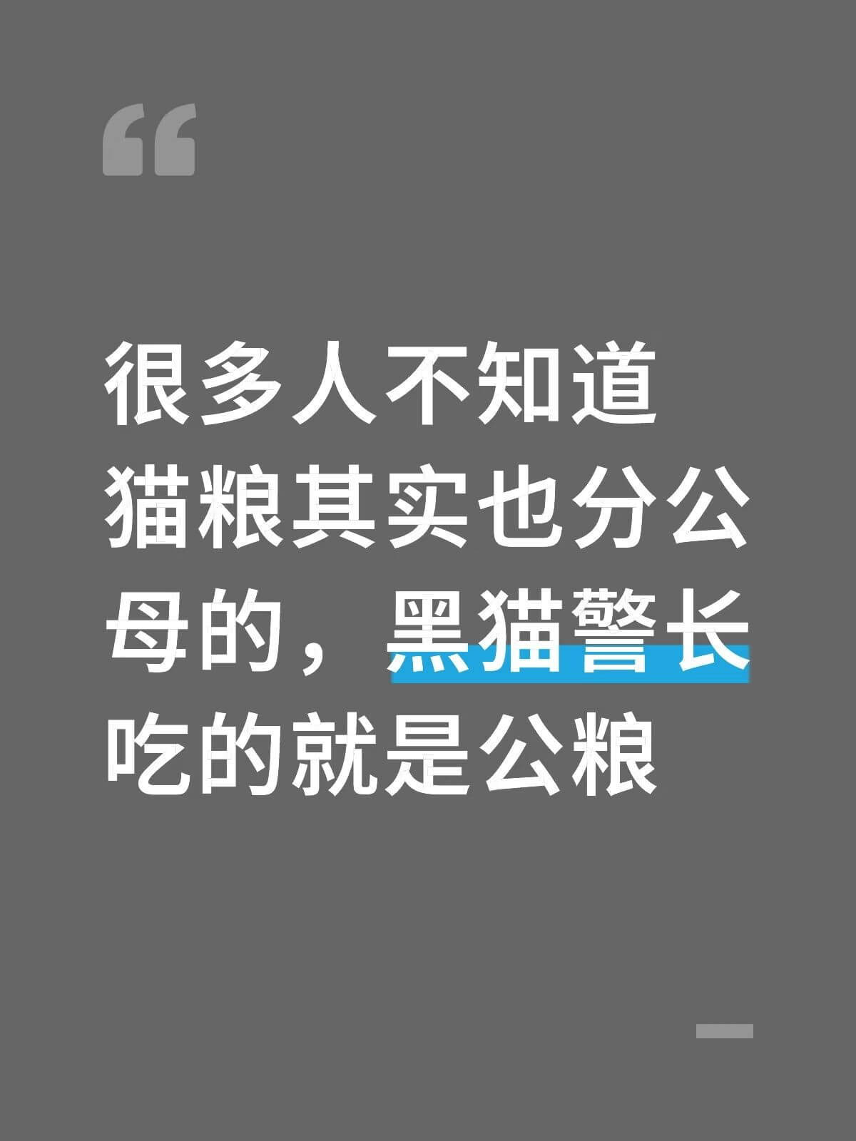 很多人不知道，猫粮其实也分公母的，黑猫警长吃的就是公粮