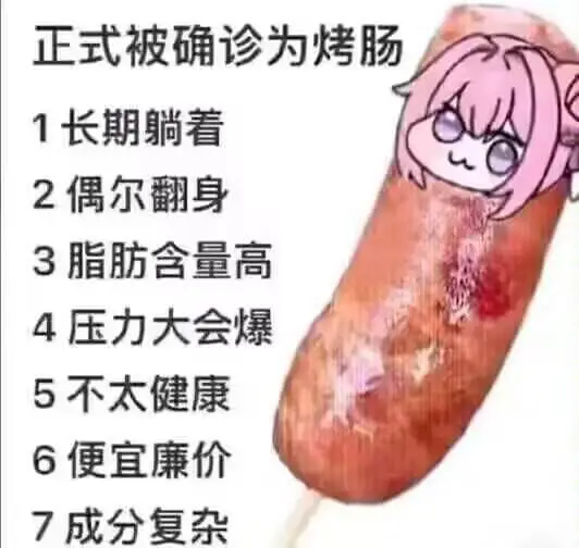 正式被确诊为烤肠1.长期躺着2.偶尔翻身3.脂肪含量高4.压