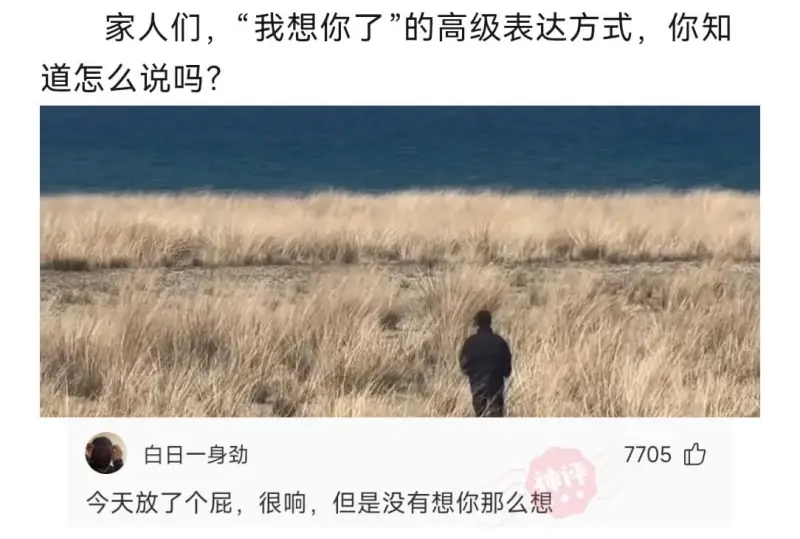 家人们，“我想你了”的高级表达方式，你知道吗？白日一身劲77