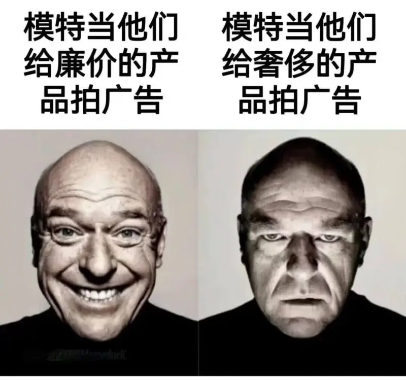 模特当他们给廉价的产品拍广告模特当他们给奢侈的产品拍广告