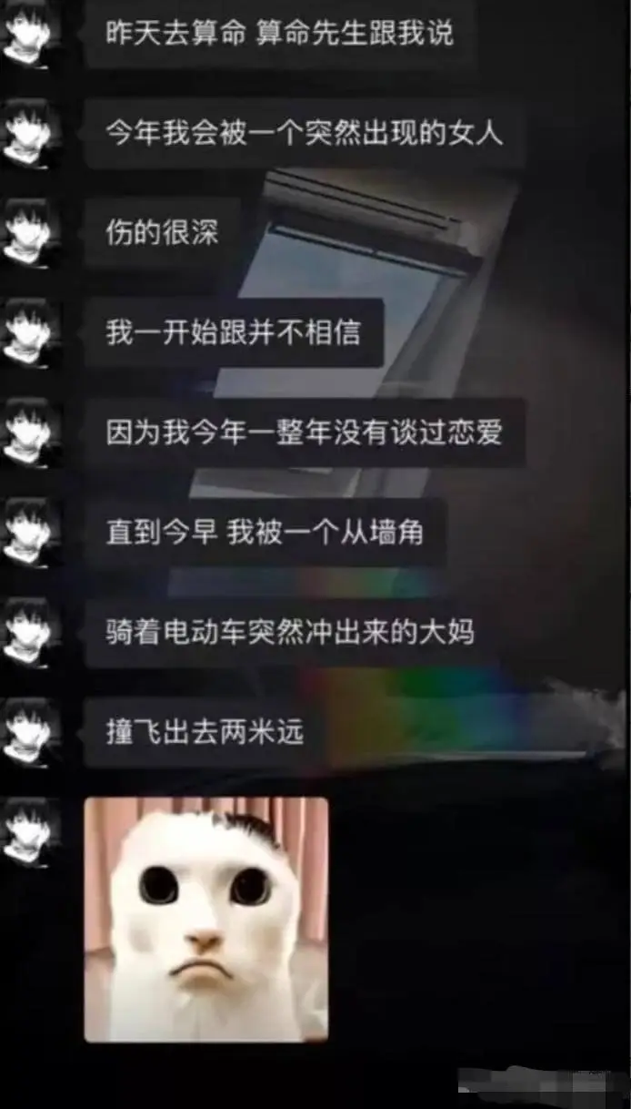 今年我会被一个突然出现的女人伤的很深。我一开始并不相信，因为