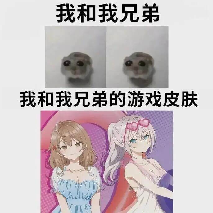 我和我兄弟我和我兄弟的游戏皮肤