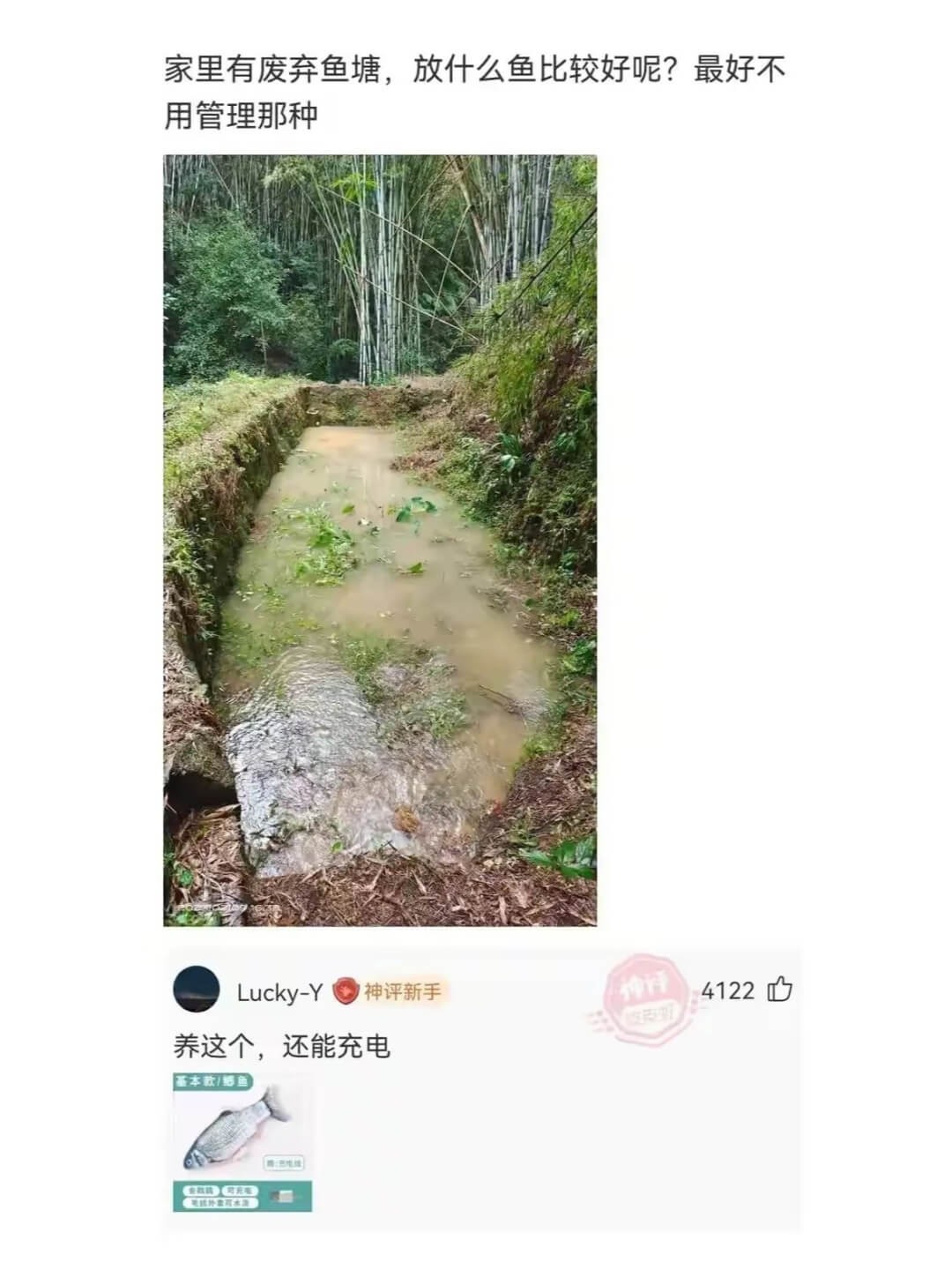 家里有废弃鱼塘，放什么鱼比较好呢？最好不用管理那种Lucky