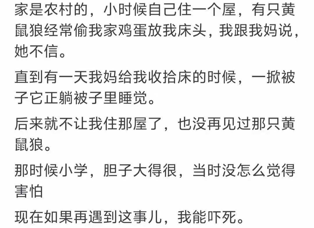 家是农村的，小时候自己住一个屋。有只黄鼠狼经常偷我家鸡蛋放我