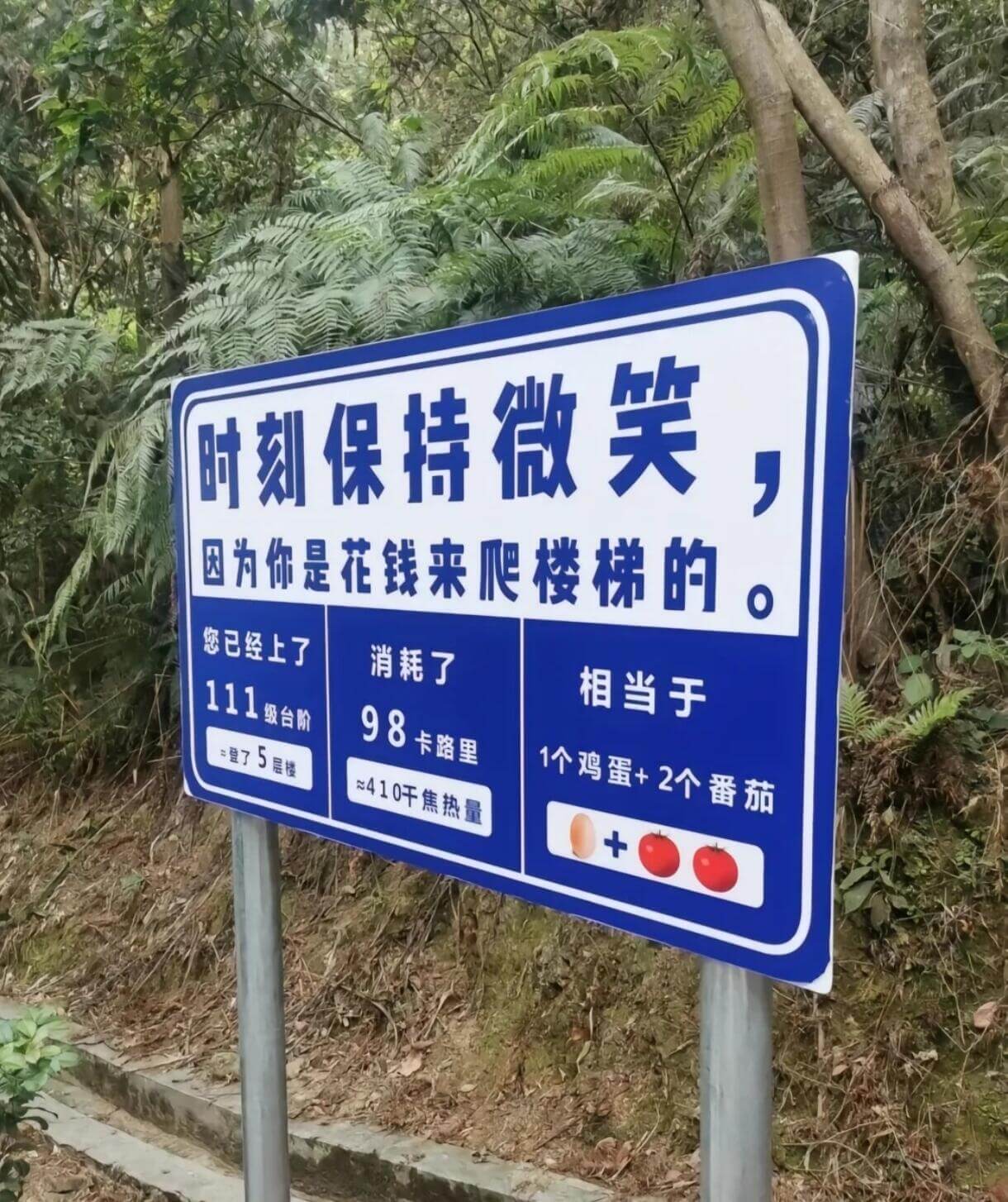 因为你是花钱来爬楼梯的。相当于消耗了您已经上的98级台阶，=
