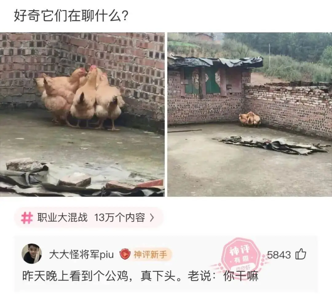 梗图