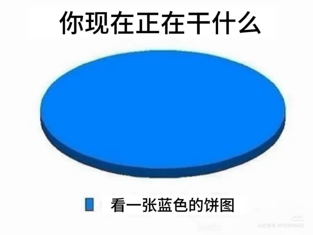 你现在正在干什么?看一张蓝色的饼图。