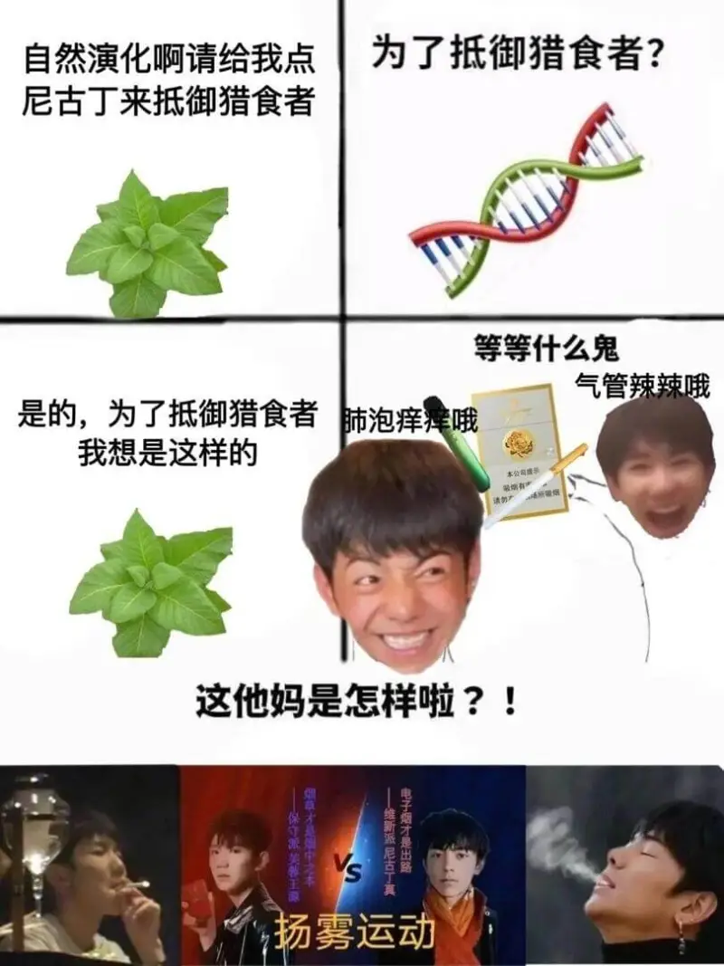 为了抵御猎食者？自然演化啊请给我点尼古丁来抵御猎食者等等什么