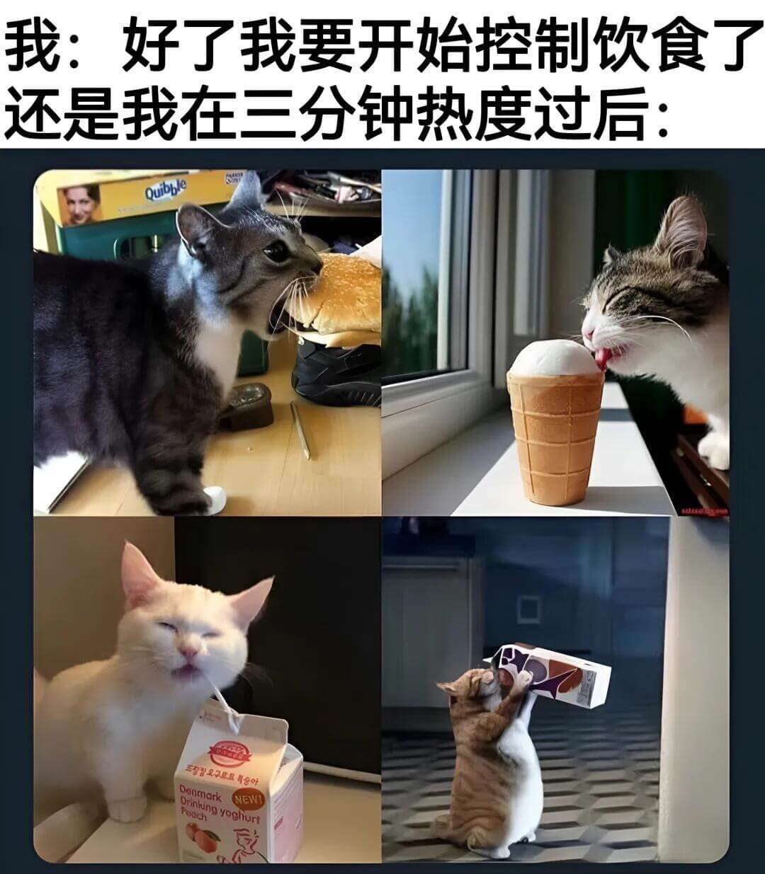 我：好了，我要开始控制饮食了。还是我在三分钟热度过后：Qui