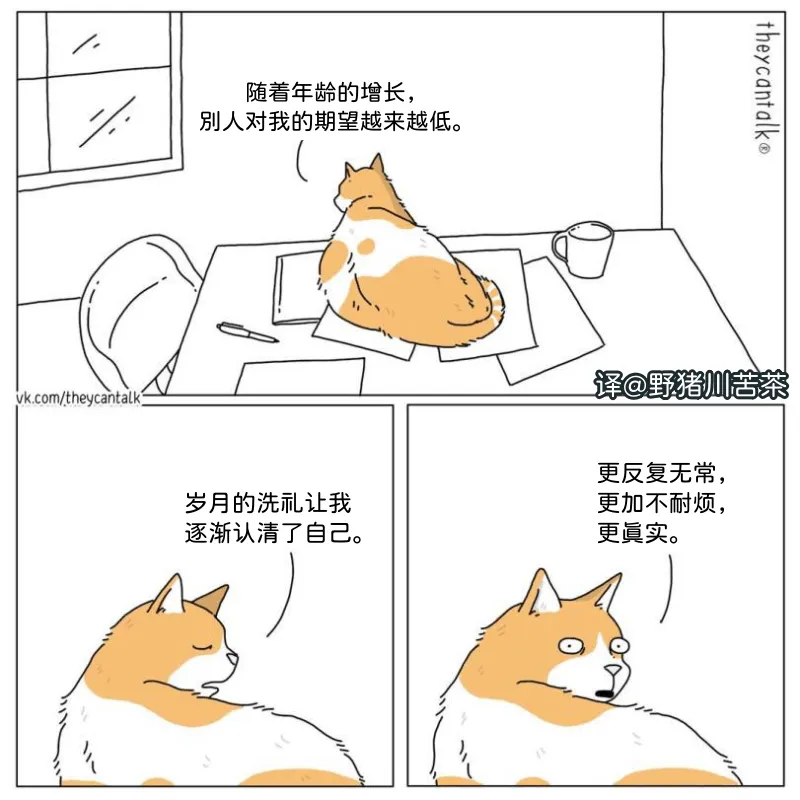 theycantalk?随着年龄的增长，别人对我的期望越来越