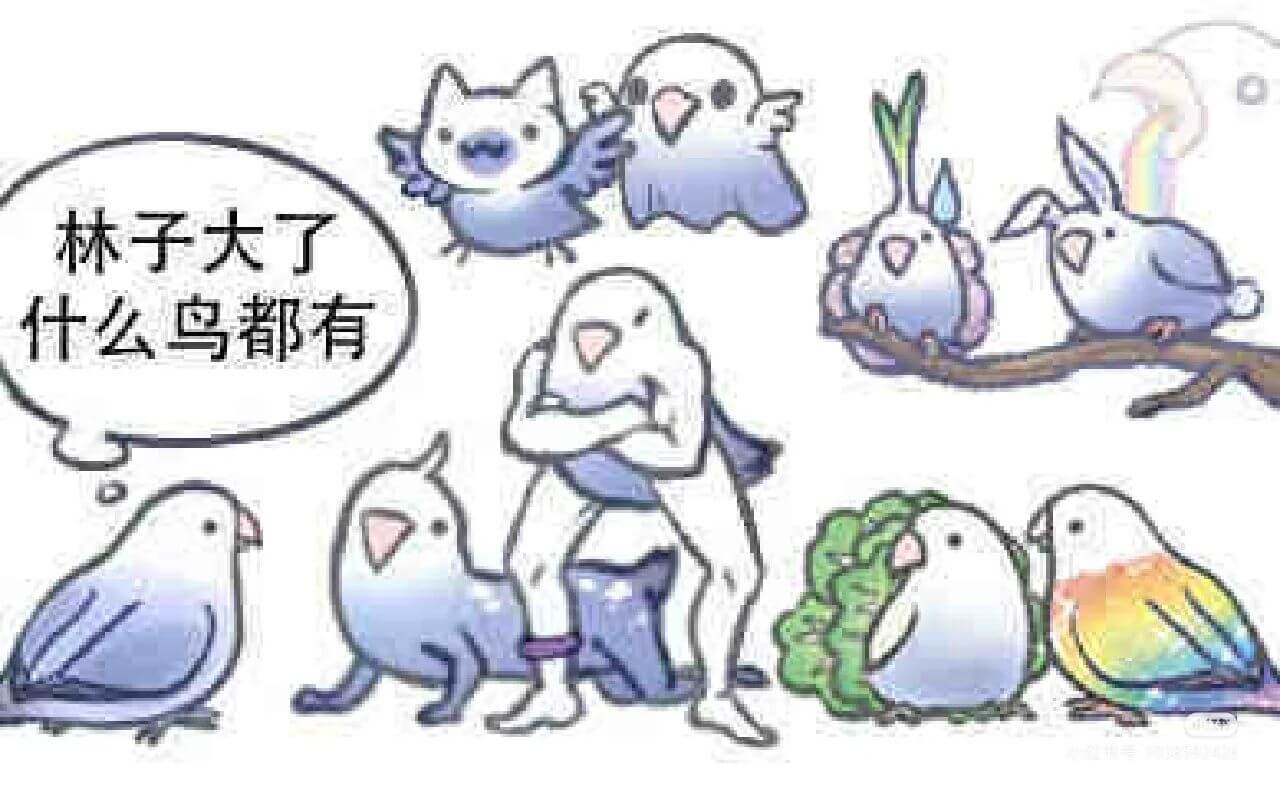 林子大了，什么鸟都有。