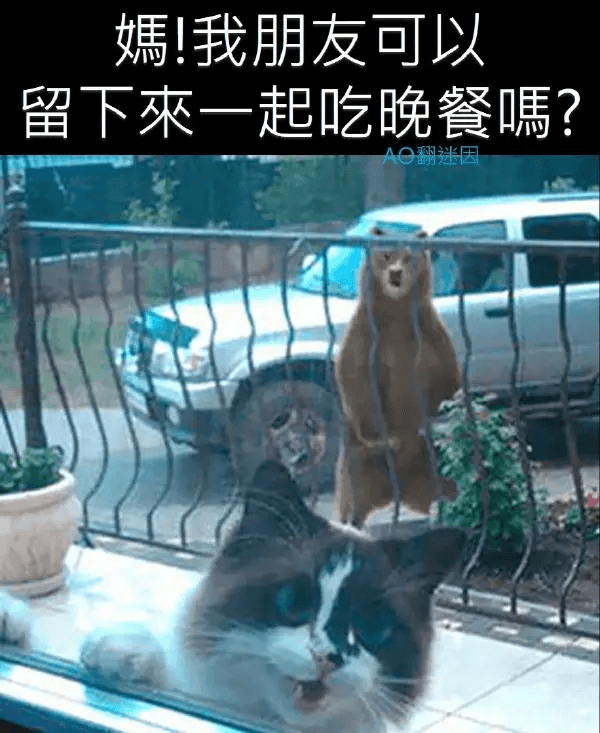 媽！我朋友可以留下來一起吃晚餐?