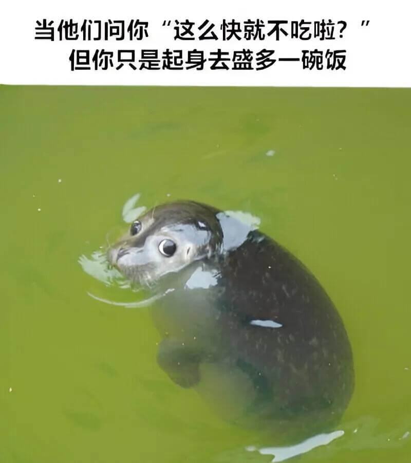 当他们问你“这么快就不吃啦？”但你只是起身去盛多一碗饭。