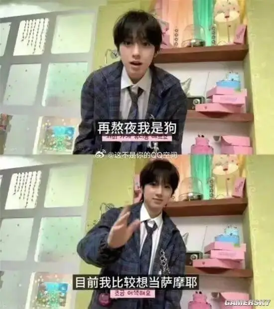 再熬夜我是狗目前我比较想当萨摩耶GAVERSY