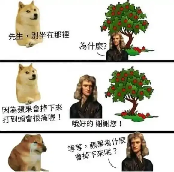 先生，别坐在那里为什么座？因为果会掉下来，打到头会很痛喔！哦